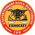 landesligabadenwuerttemberg